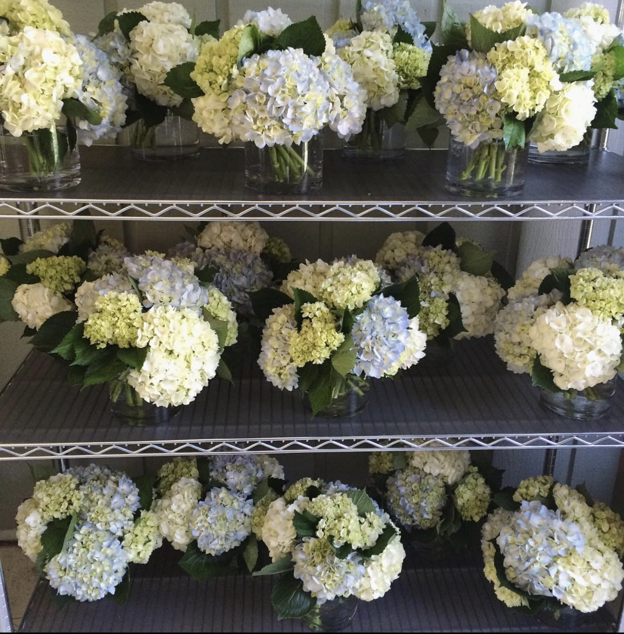 Hydrangea centerpiece
