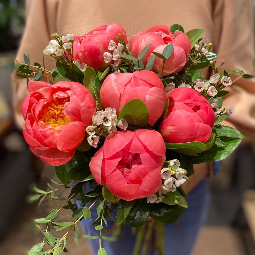 Premium Coral Charm Peony Bouquet – Color Changing