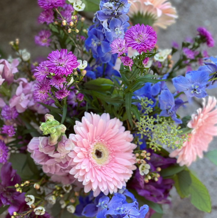 This Week’s Special