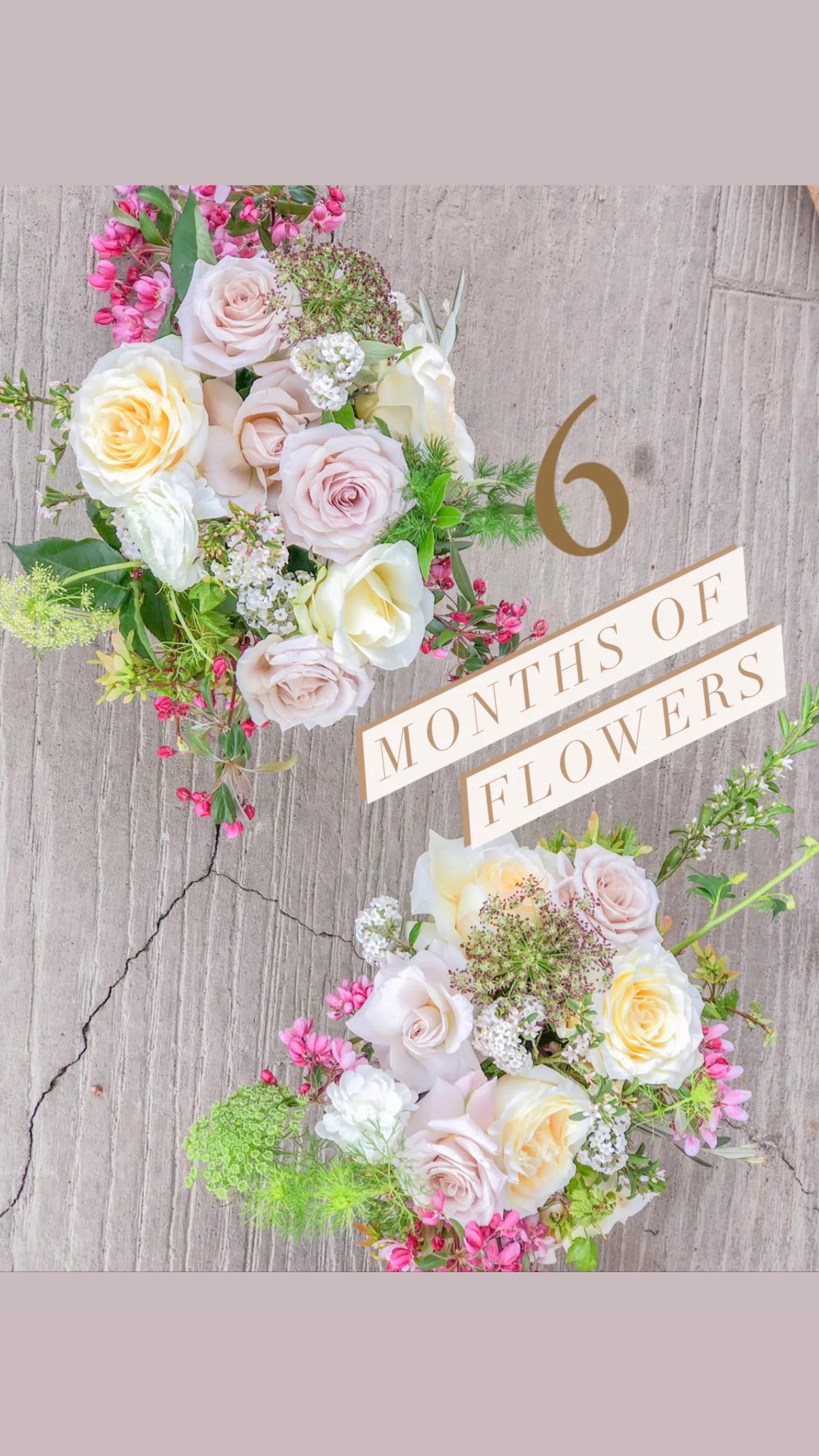 6 Months of Flowers + 1 free arrangement
