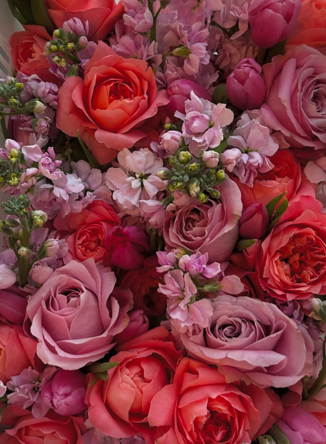 Valentine’s Day Wrapped Flowers (Pick up only)