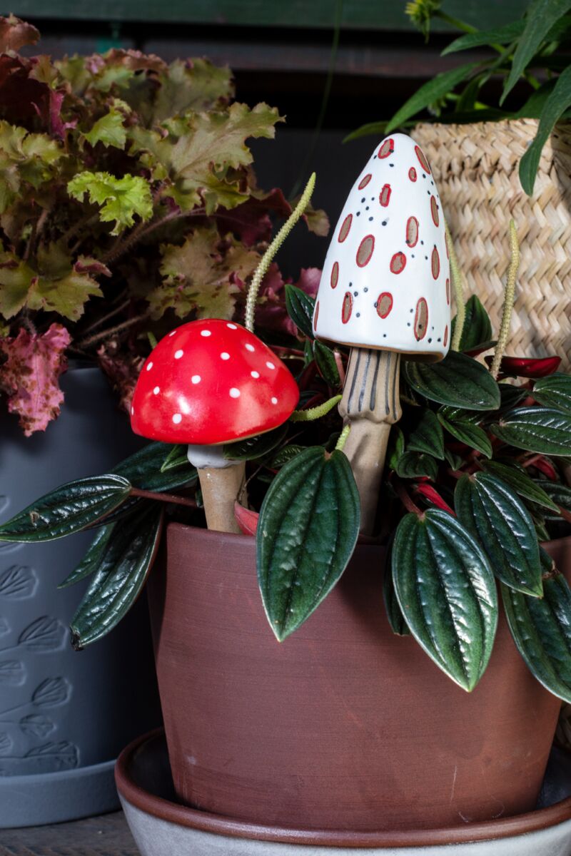 Mushroom Plant Sticks