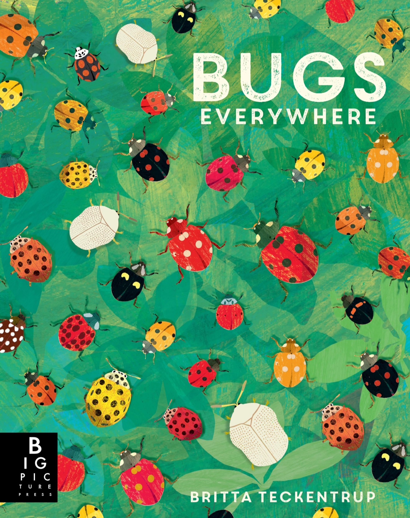 Bugs Everywhere Lily Murray