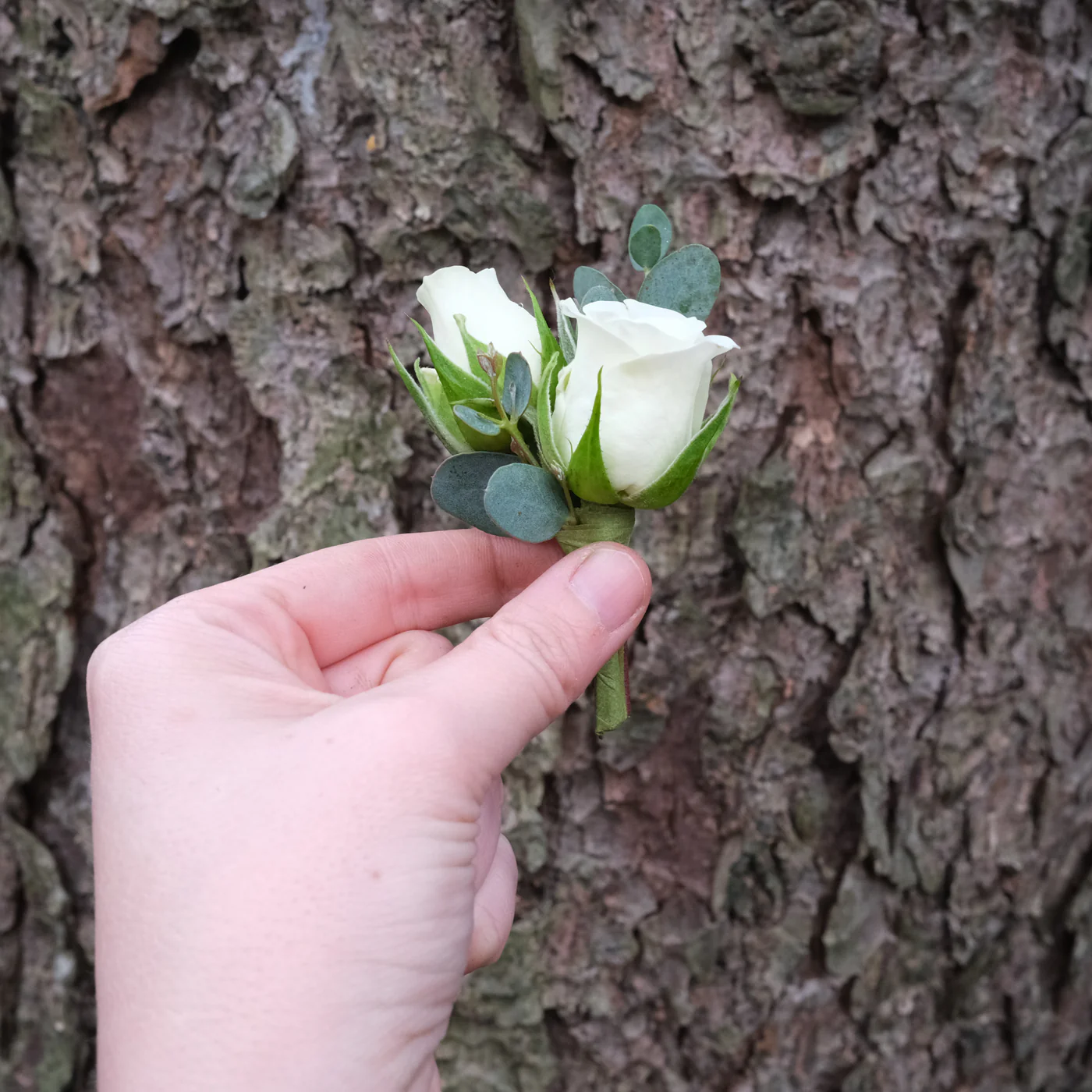 Sweetheart Rose Boutonnière