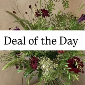 Deal of the Day