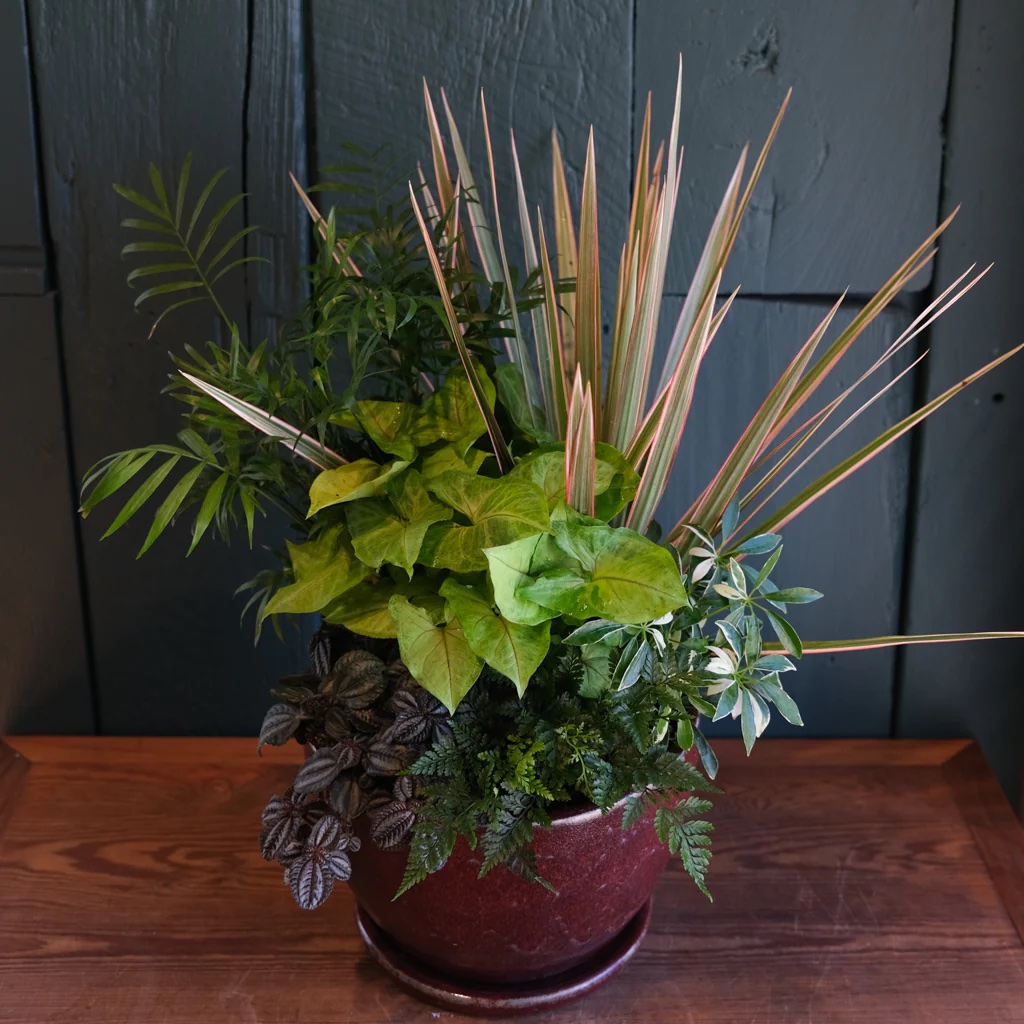 Foliage Planter